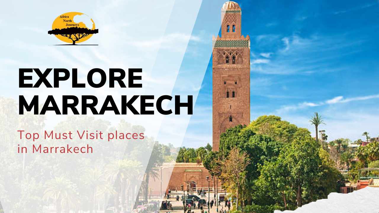 Must visit places in Marrakech - Must see places in Marrakech - Bes things to do in Marrakech - Marrakech sightseeing tour - Activities to do.