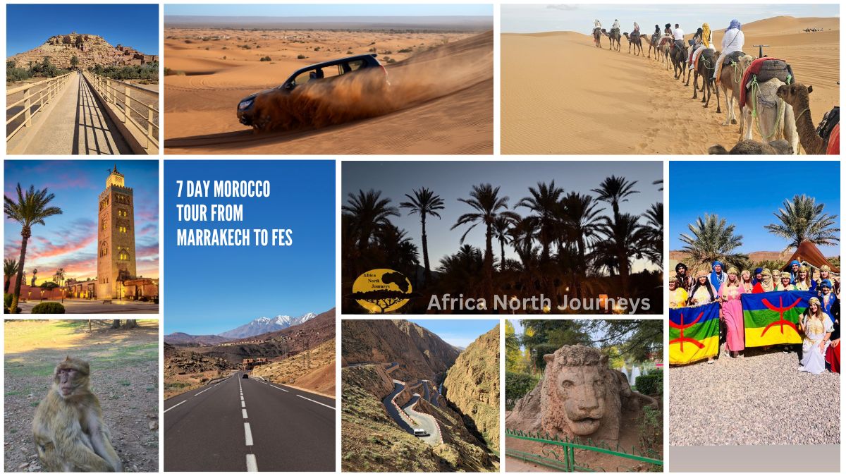 1 Week Morocco itinerary. 7 Days Morocco Tour Itinerary from Marrakech to Fes via Sahara Desert. 1 Week Holiday Tour in Morocco. Travel.