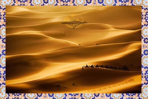 Viaje Marruecos 5 días Desde Errachidia al Desierto de Merzouga y Marrakech - 5 días al Desierto de Marruecos desde Errachidia Y Marrakech.