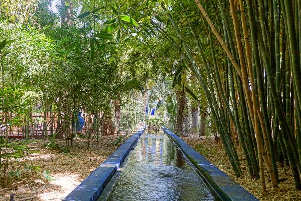 Majorelle Garden, Marrakech