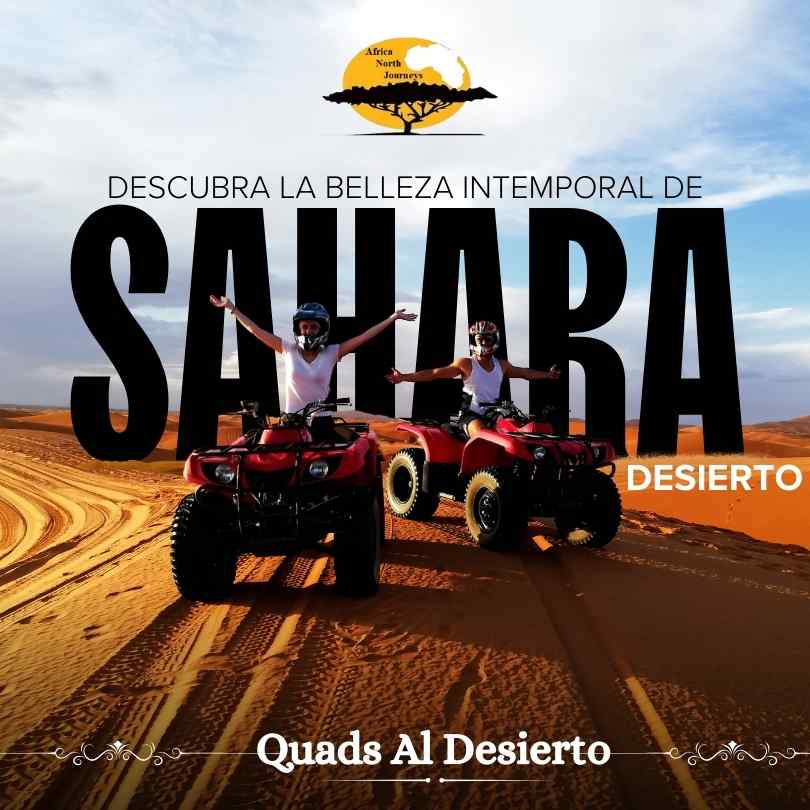 tour al desierto del sahara desde marrakech