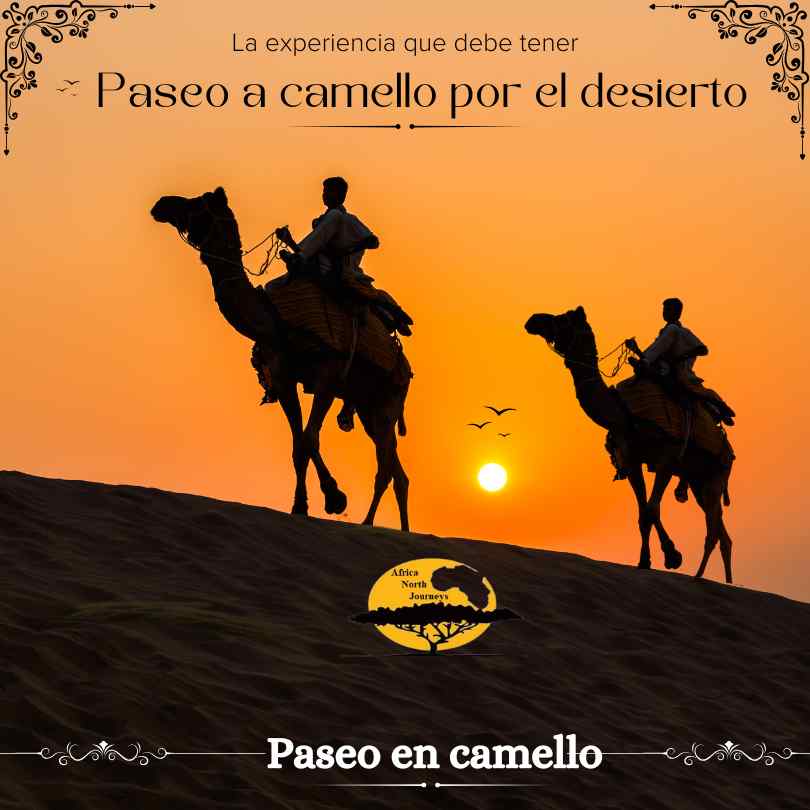 Noche en el Desierto Merzouga - Paseo en camello por el desierto - Paseo en camello y pase la noche en un campamento del desierto.